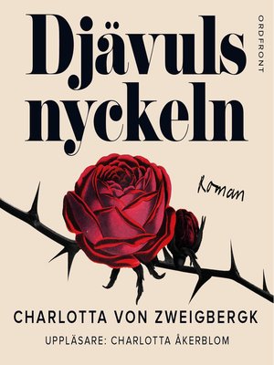 cover image of Djävulsnyckeln